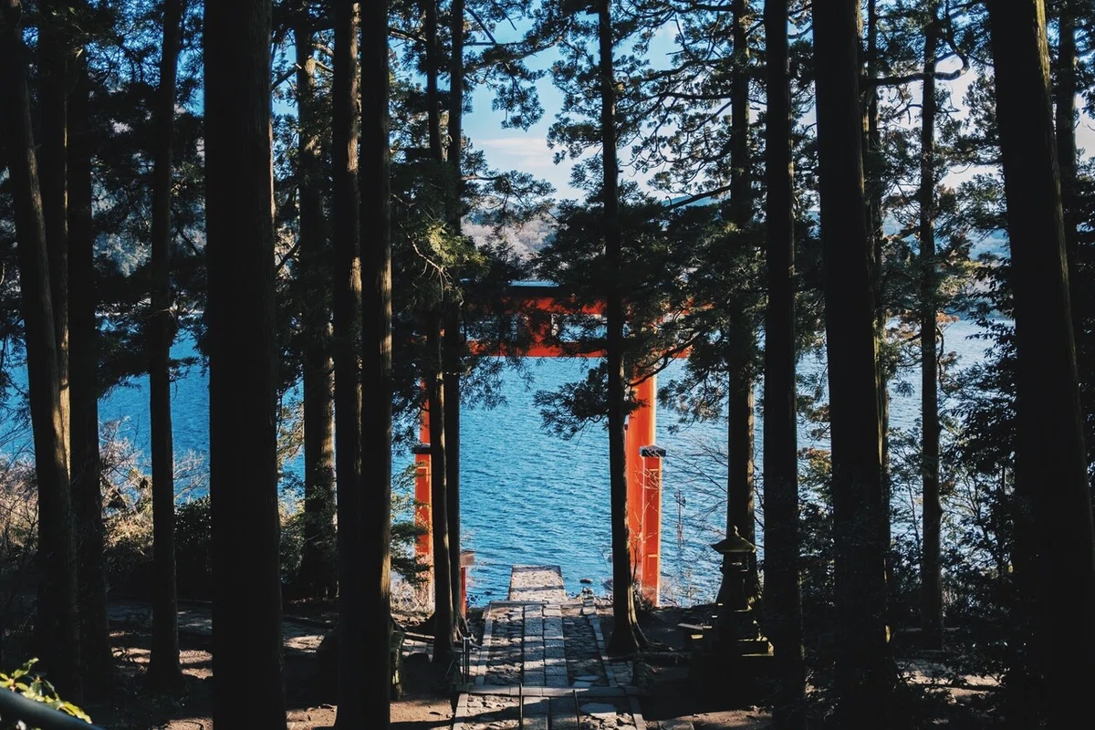 画像10