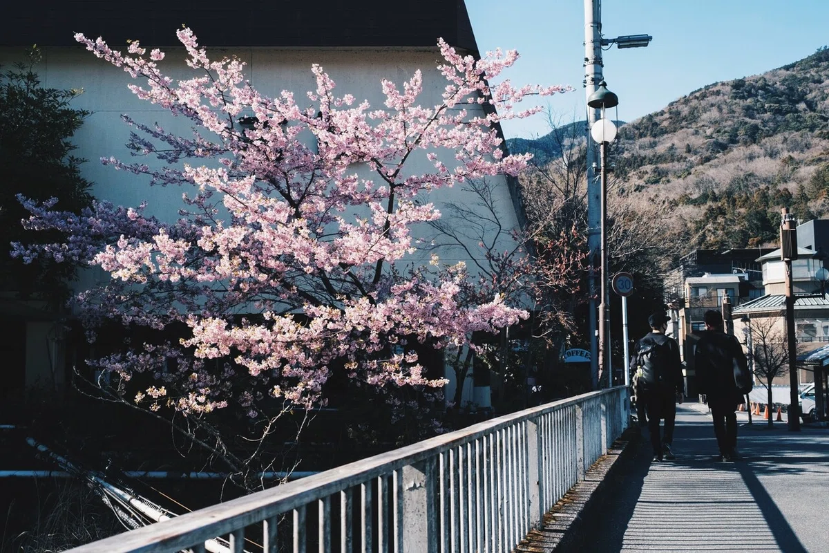 画像38