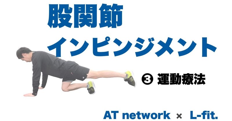 股関節インピンジメント 運動療法 L Fit Note