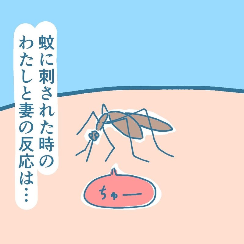画像47