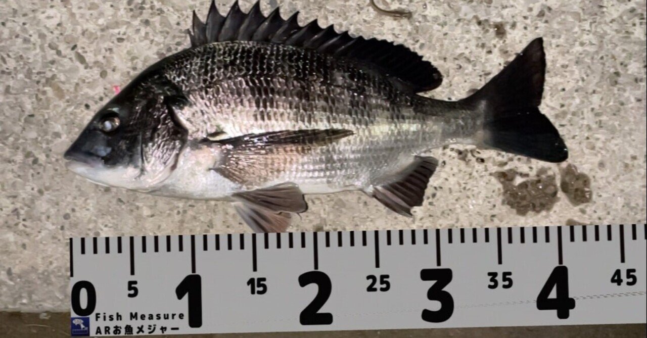 釣り専用メジャーアプリ Arお魚メジャー Katonobo Note