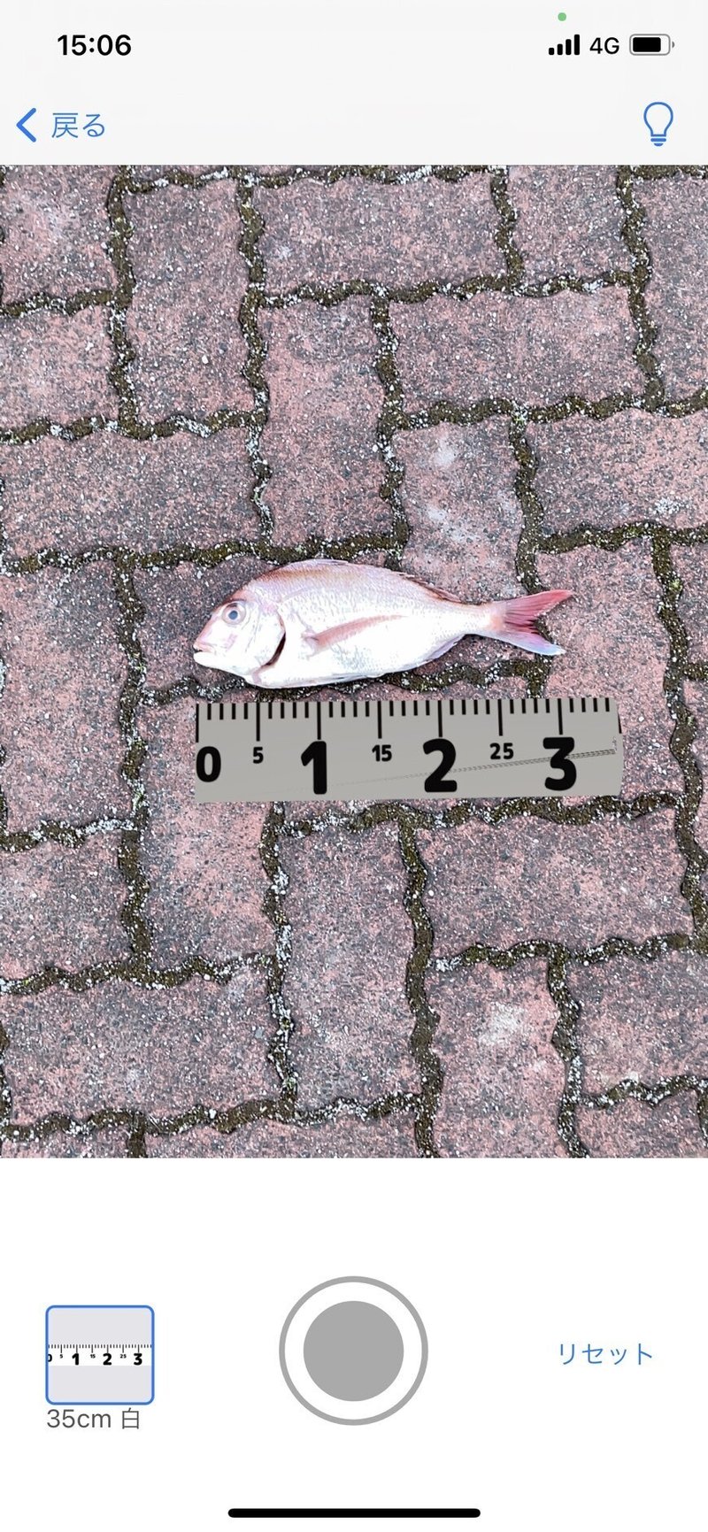 釣り専用メジャーアプリ Arお魚メジャー Katonobo Note