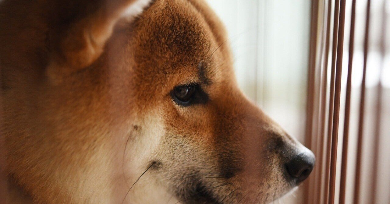 創作童話 新イソップのよくばりな犬 佐藤きよあき Note 創作童話 新イソップのよくばりな犬 佐藤きよあき Note