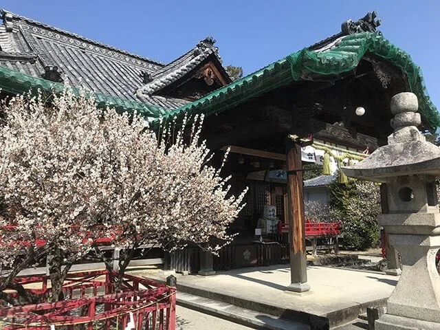画像7