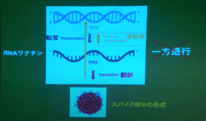 画像50