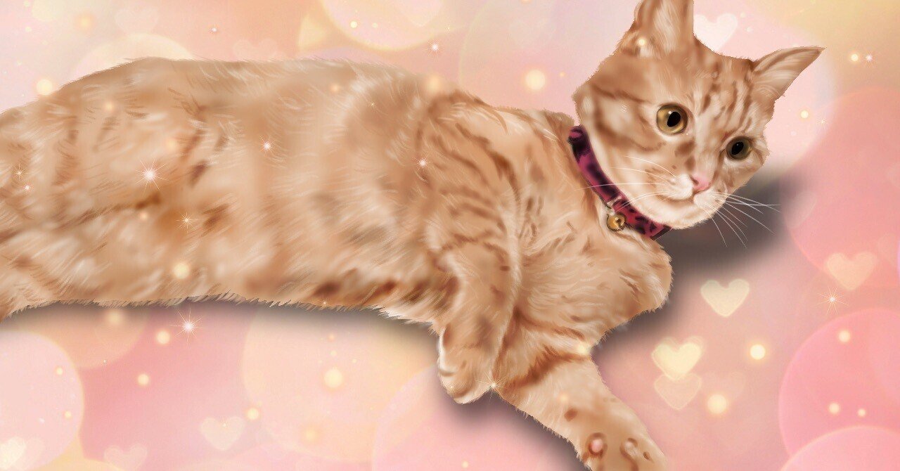 こねこなぴーちゃん。ラブリーバージョン♥｜ෆもふෆ