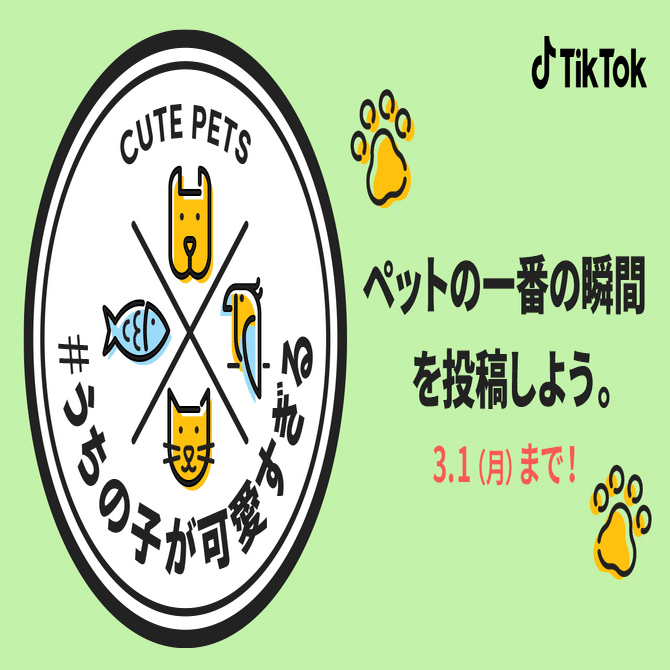 TikTok トレンド | #うちの子が可愛すぎる、#猫のいる暮らし、#青森