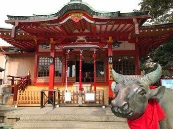 網敷梅10