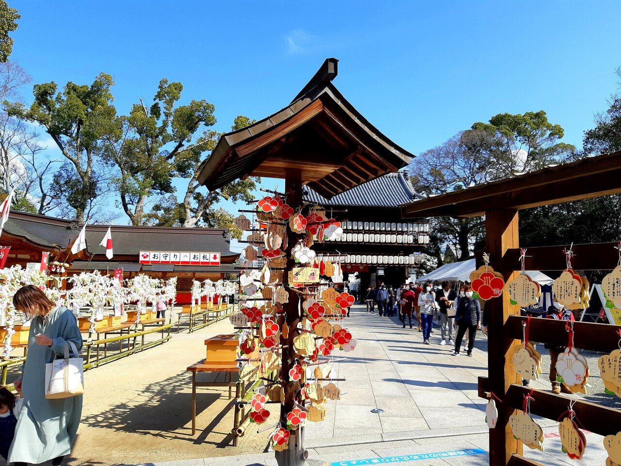 愛媛県に春を告げる椿まつり 山田幸子フリーアナウンサー Note