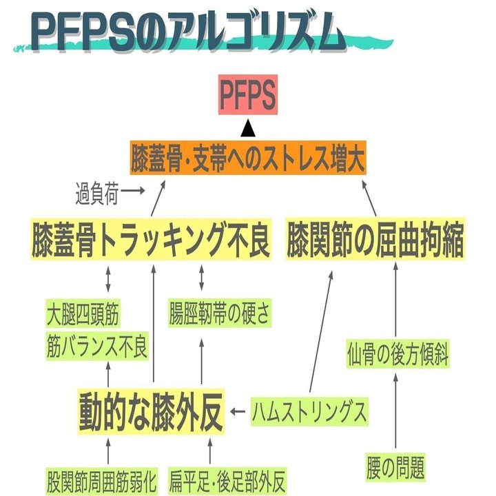 謎多き”膝の前面痛 論文から『ヒント』を得る｜樋口 翔太