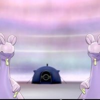 ポケモンsm 配布限定ポケモンメモ ゴンベ がみ Note