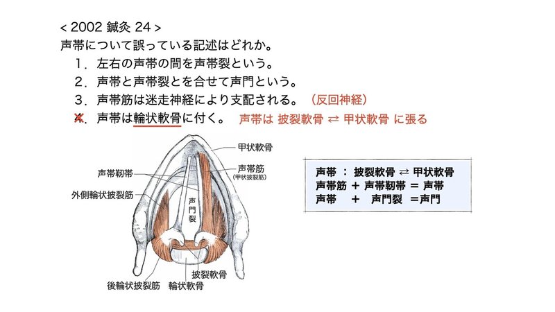 【徹底的国試対策】3-2 呼吸器系 - 咽頭・喉頭.068