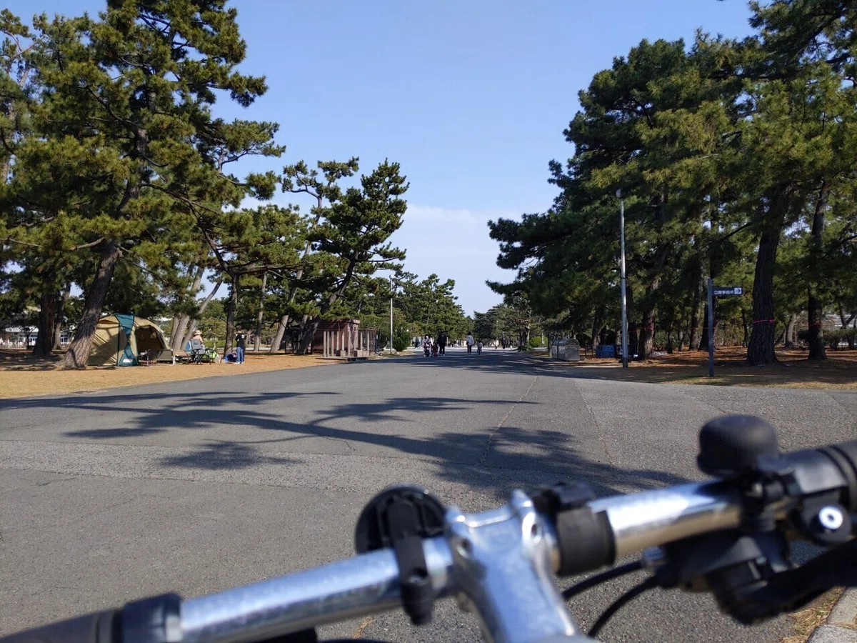 画像2