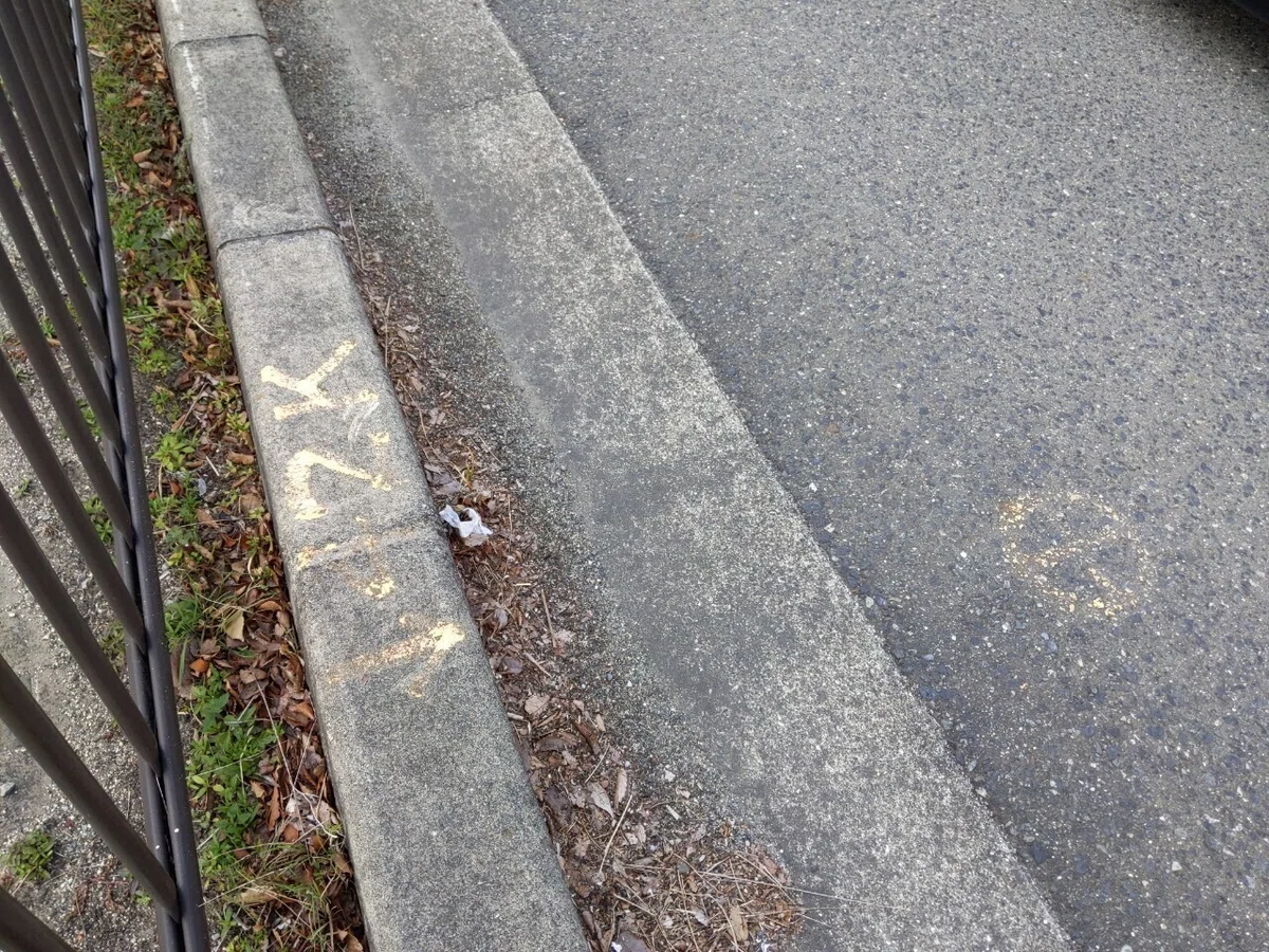 画像13