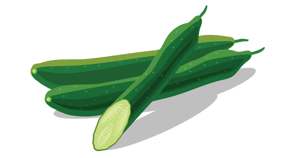 きゅうり
