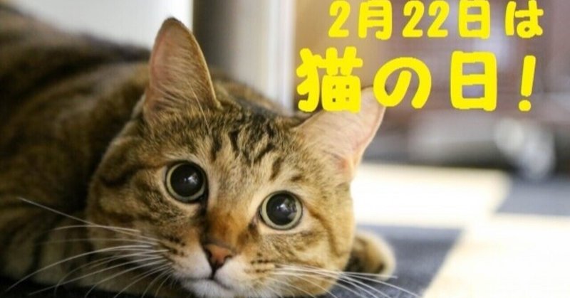 ポムさんとしまちゃんねこべや の新着タグ記事一覧 Note つくる つながる とどける ポムさんとしまちゃんねこべや の新着タグ記事一覧 Note つくる つながる とどける