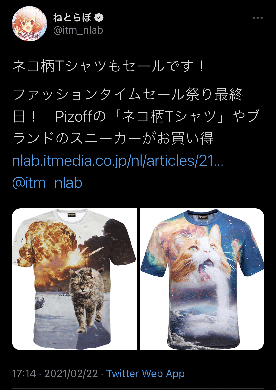 変な猫のシャツが欲しい｜ろしぇ