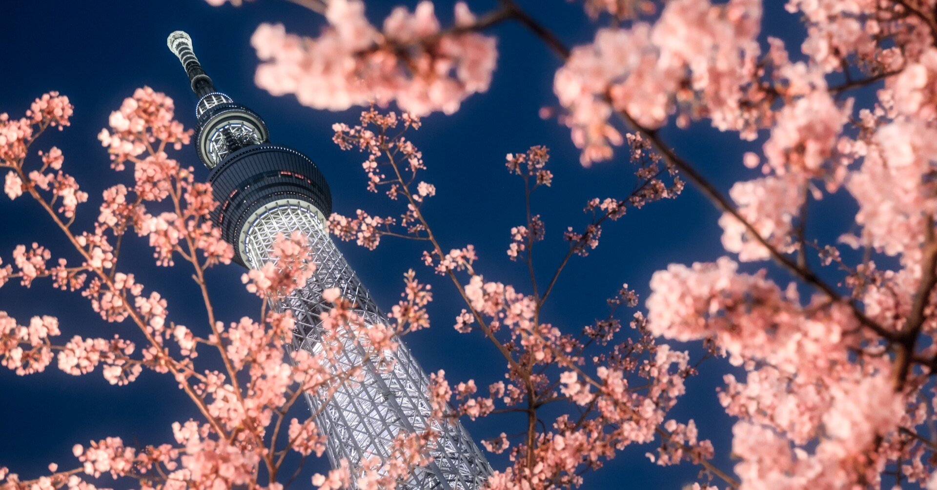 SNSでバズる写真の分析｜別所隆弘｜note