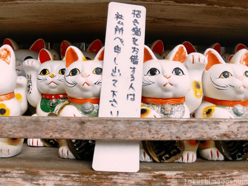 11 猫の日だから徳島の猫神社を紹介する Kanakana とくしま御朱印なび 不惑の御朱印ガール Note 11 猫の日だから徳島の猫神社を紹介する Kanakana とくしま御朱印なび 不惑の御朱印ガール Note