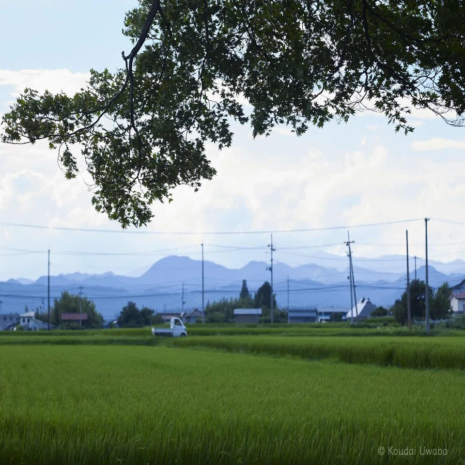 夏の夕方 上保 昂大 Note