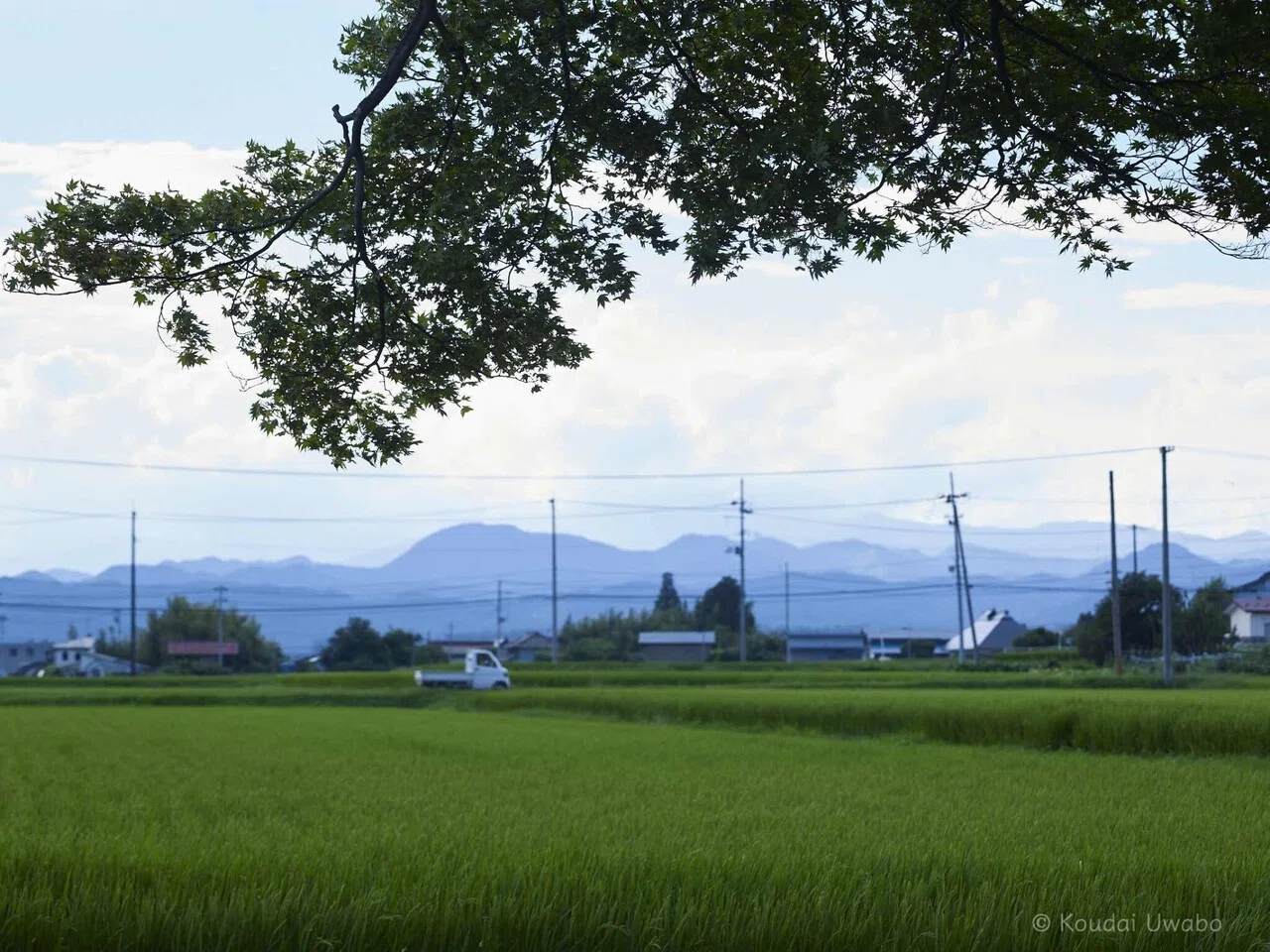 夏の夕方 上保 昂大 Note 夏の夕方 上保 昂大 Note