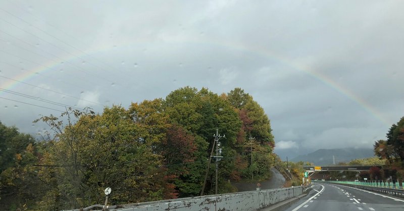 運転が嫌すぎて泣きながら教習所に通った話 ねむいねこ Note