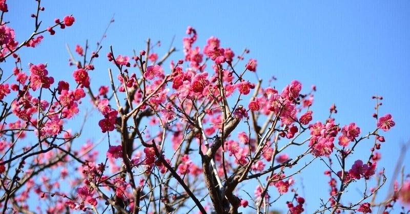 最高気温15℃