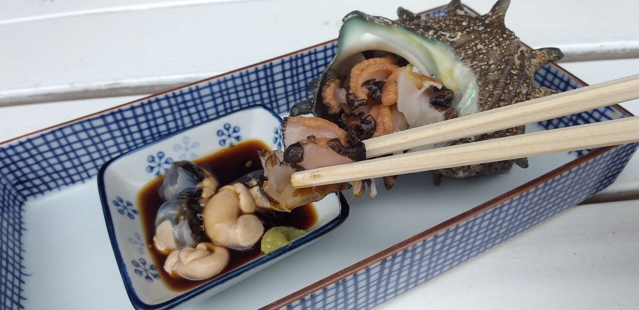 サザエ Horned Turban Shell 千葉県富津市金谷 海女直売所大昌商店 魚介馬鹿一代 Fish Nerd Life Note サザエ Horned Turban Shell 千葉県富津市金谷 海女直売所大昌商店 魚介馬鹿一代 Fish Nerd Life Note