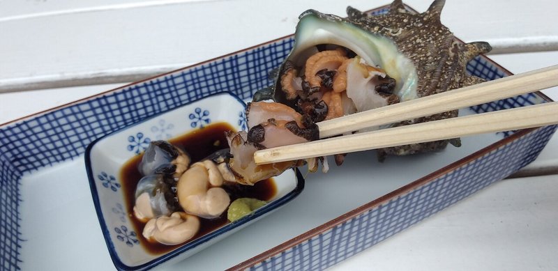 サザエ Horned Turban Shell 千葉県富津市金谷 海女直売所大昌商店 刺身馬鹿一代 Sasimi Nerd Life Note