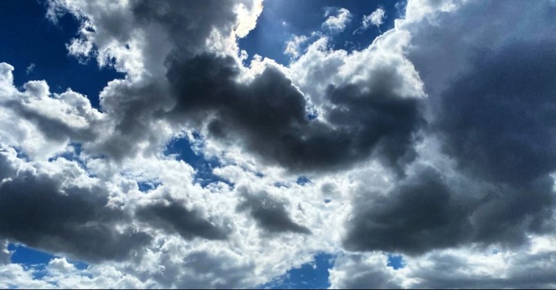 旅人にオススメinto The Wild Yuki Watanabe Note