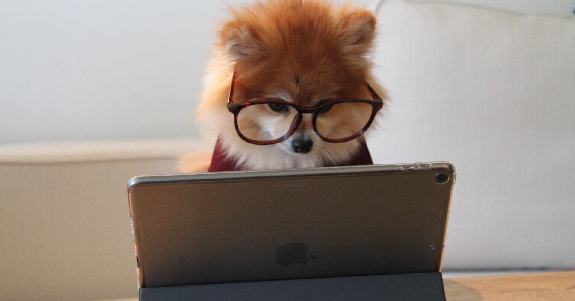 ネットワークスペシャリストの勉強の仕方 働きながら頑張る３ヶ月プラン みき エンジニア女子かべうちラジオ In Stand Fm Note