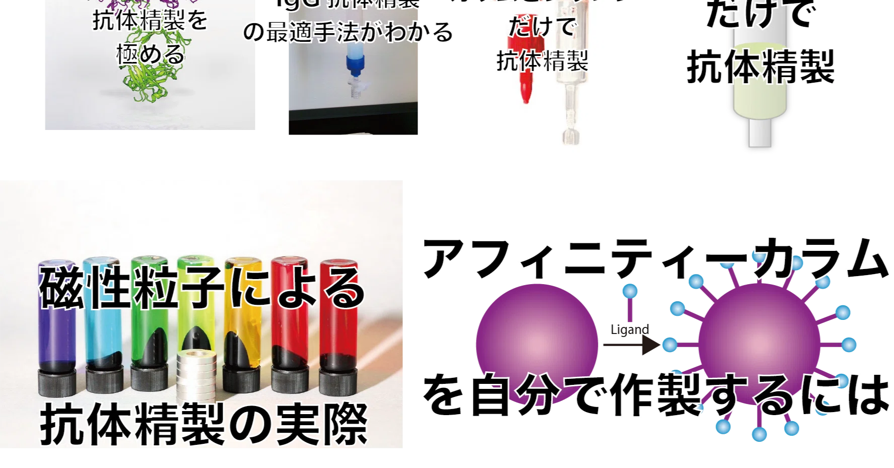 初心者向け 抗体精製ポケットブック デバイスに入れて参考にしよう Ciclamini Note