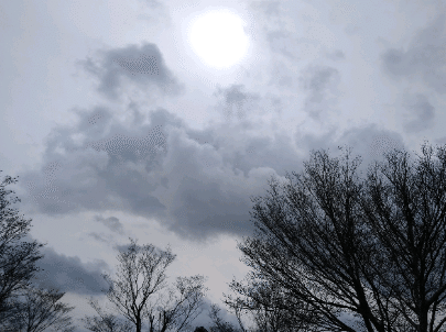 空が
不穏な雲に
覆われ始めた