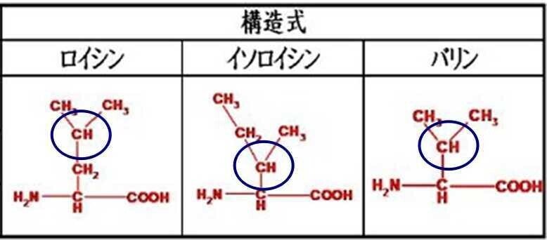 プロテイン A aa Hmb Eaa を使い分ける方法 ハチマル Note