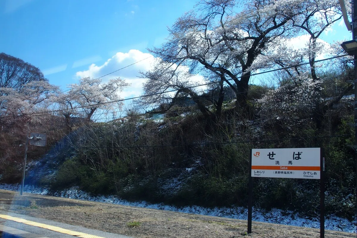 画像11