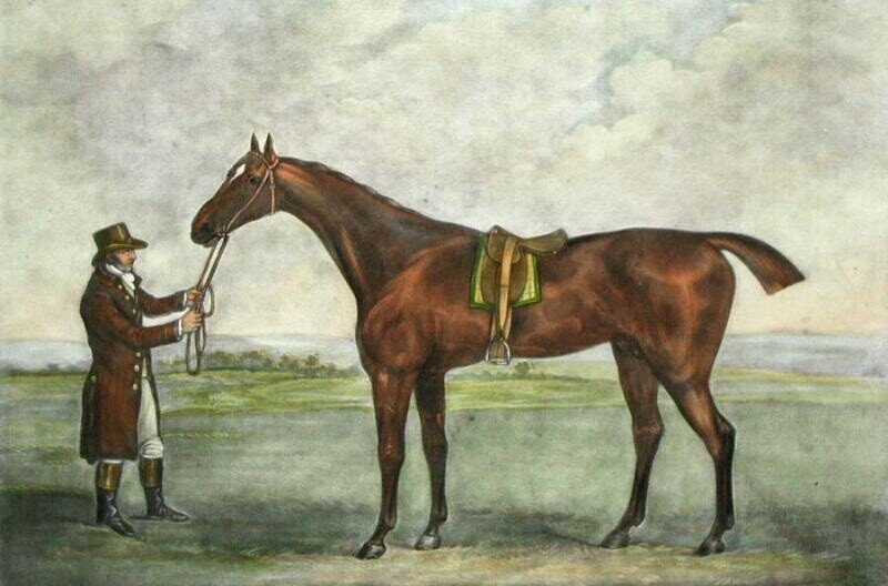 英国編】第1章-2・英国のチャンピオン競走馬105頭のリスト｜BKC