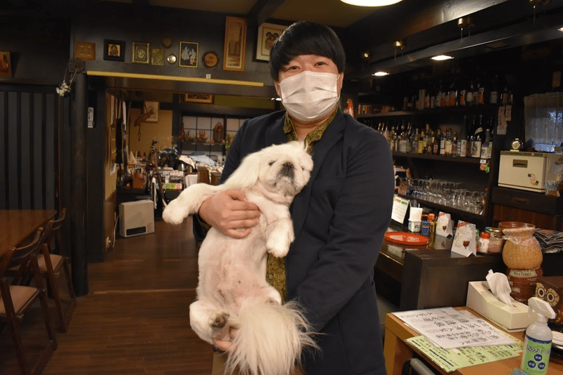 看板犬ゴンちゃん 盛岡駅前で出会える おかえりなさい が聞こえる旅館 東北観光百科 私が感じるありのままの東北を Note 看板犬ゴンちゃん 盛岡駅前で出会える おかえりなさい が聞こえる旅館 東北観光百科 私が感じるありのままの東北を Note