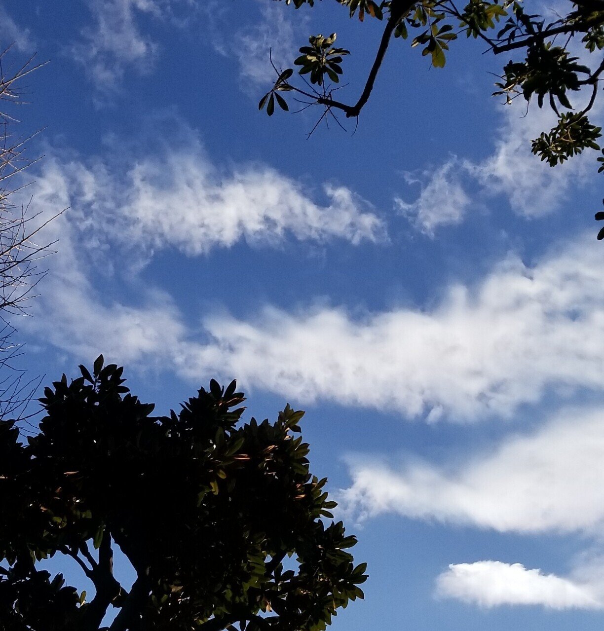 最近の雲をいくつかギャラリー 尾方佐羽 Note