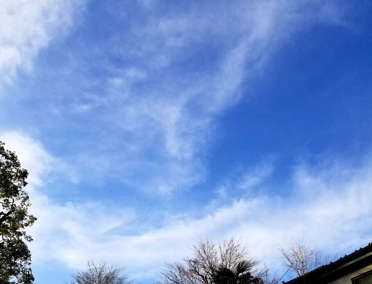 最近の雲をいくつかギャラリー 尾方佐羽 Note