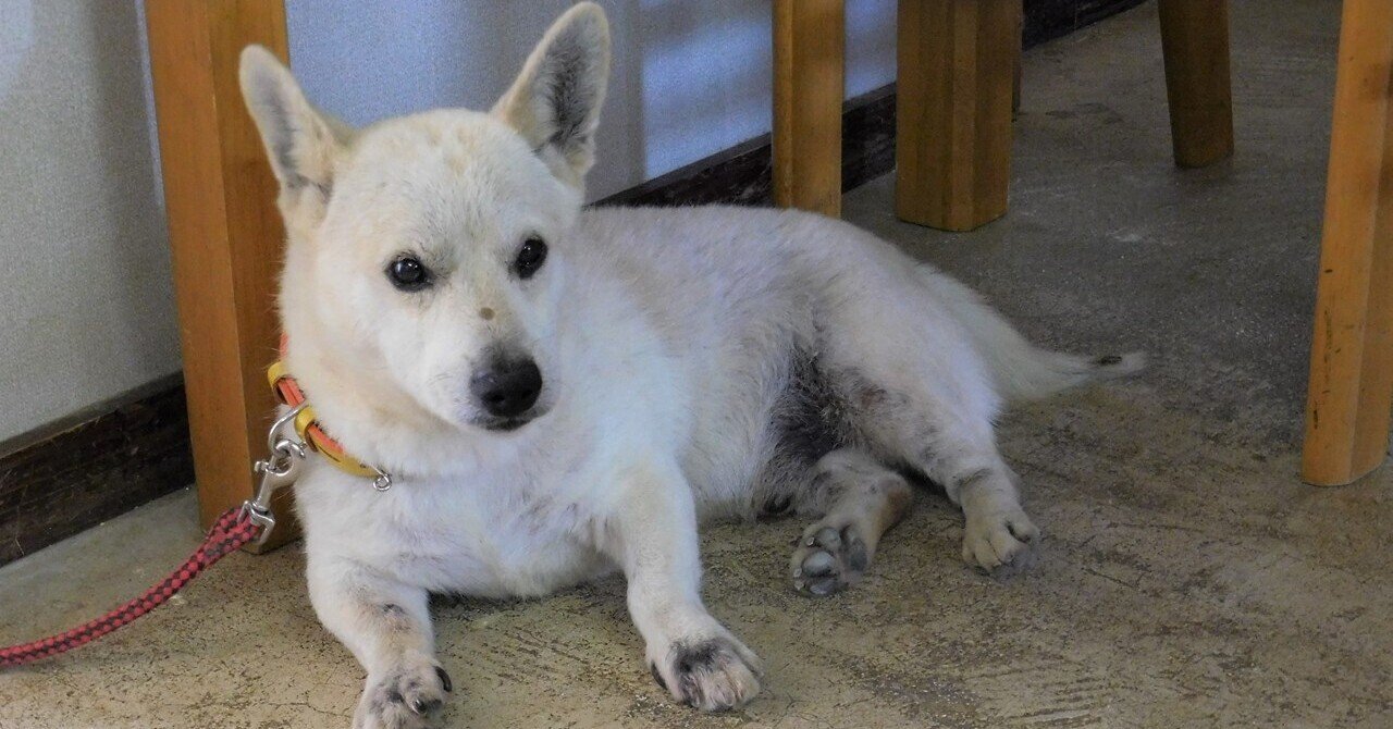 沖縄県南大東島の名所紹介 ヨッシー宙船 Note 沖縄県南大東島の名所紹介 ヨッシー宙船 Note