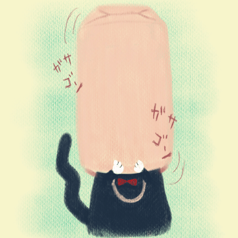 絵本 サボテンと黒猫のかぶるくん Go Sky Note