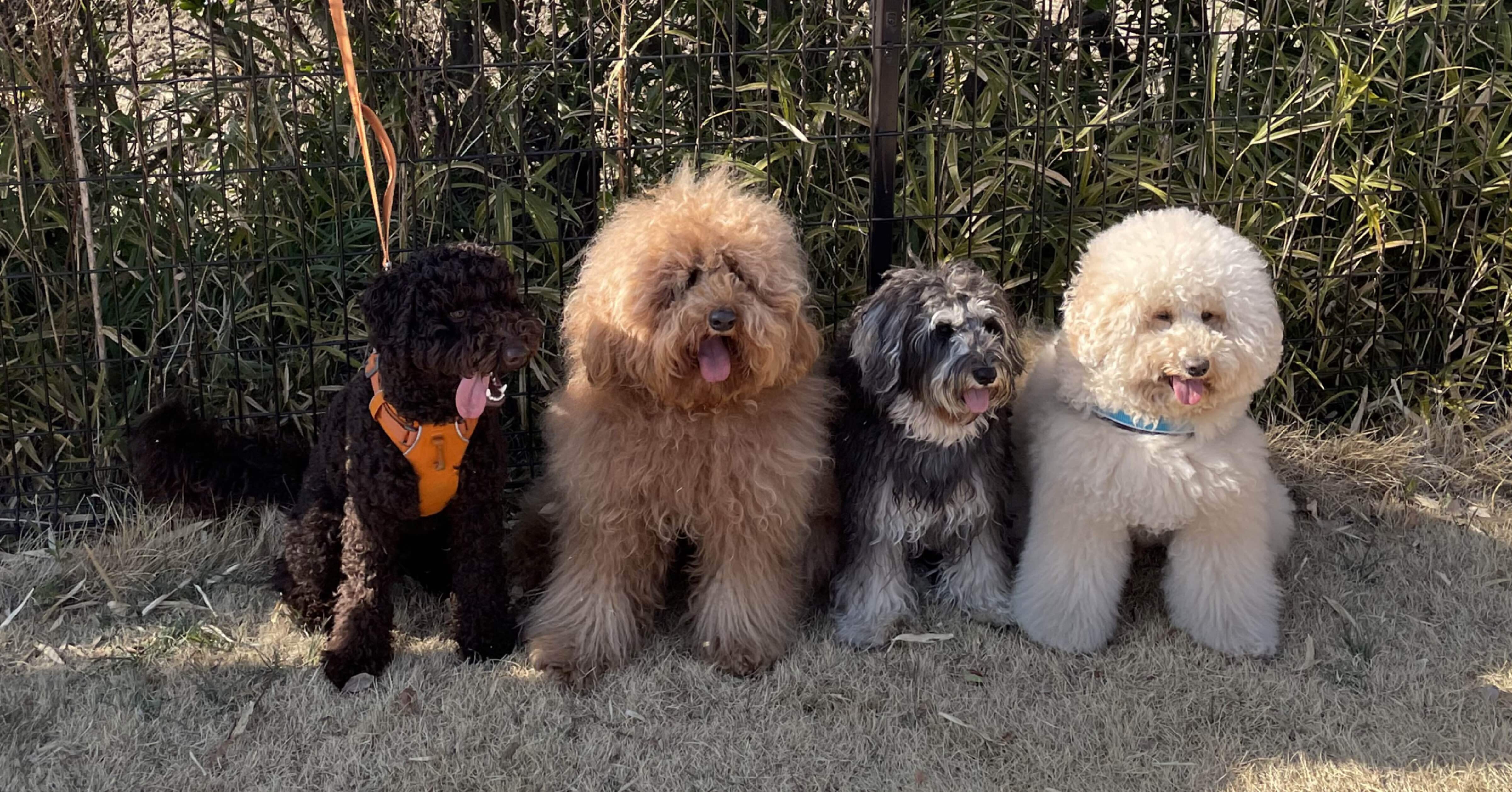 2nd化学療法8 3 Kato Chikage Note