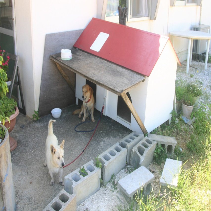 沖縄県南大東島の名所紹介 ヨッシー宙船 Note