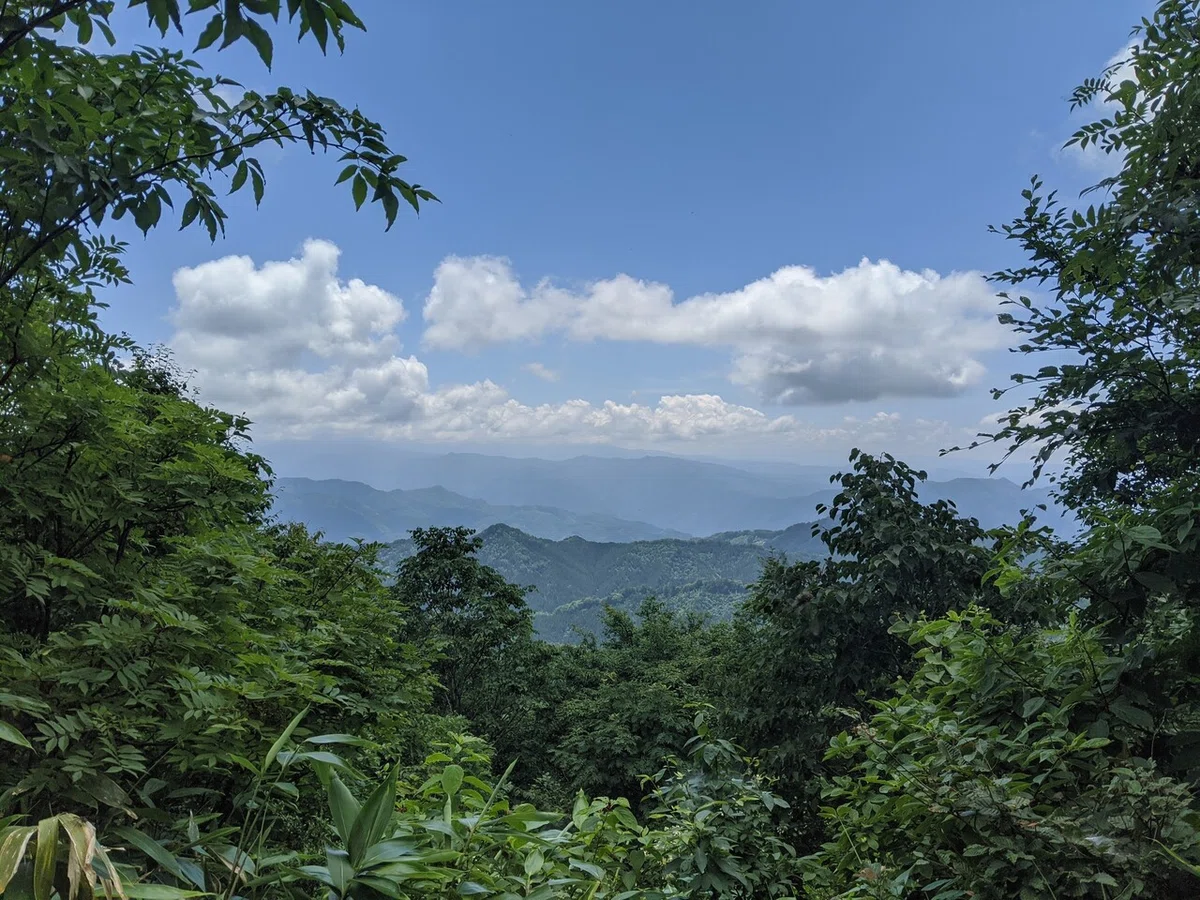 画像12