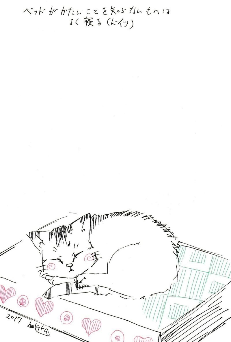 お姫様の豆 井蛙はる Note