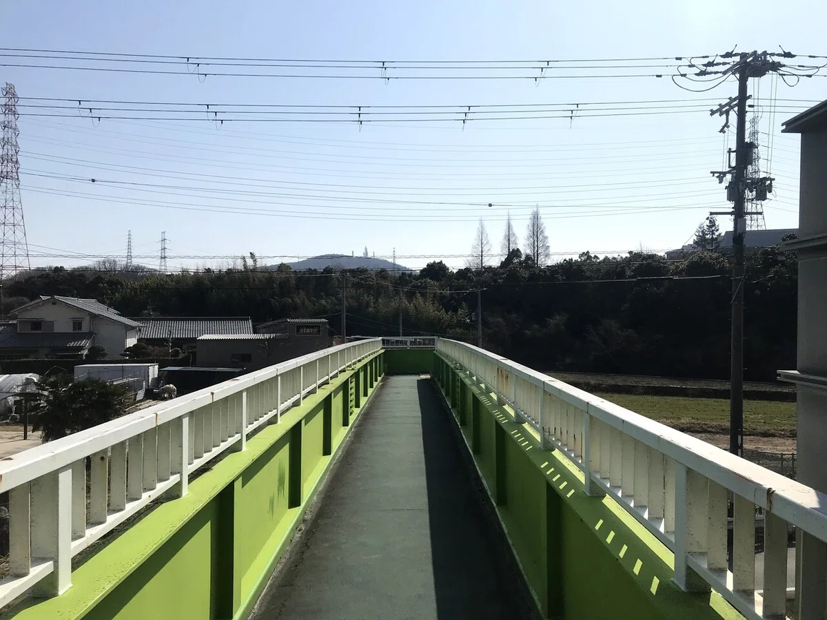 画像6