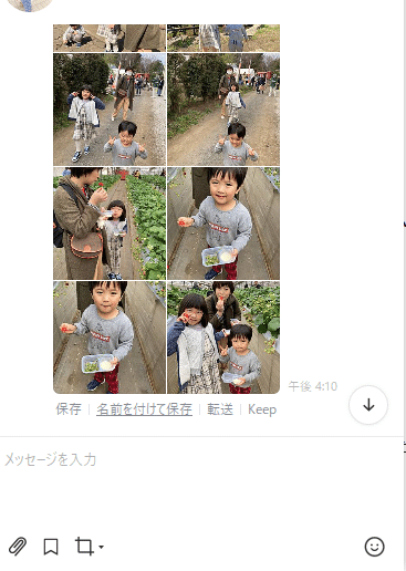 データはpcに集める 私の写真整理法 Rikipri Note