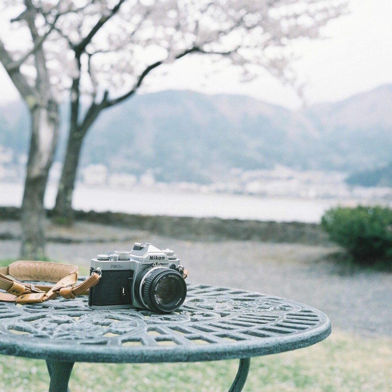 ローライフレックスという最高に美しいフィルムカメラ【Film#001