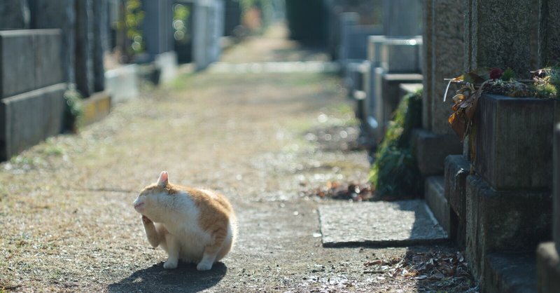 2021.2.23 | アシスタント日記（境）