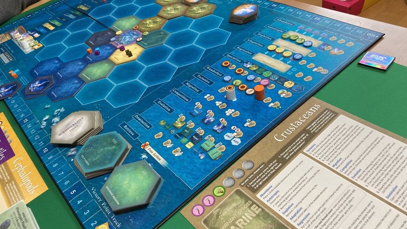 ドミナントスピーシーズマリン アクションサマリー まあや Note